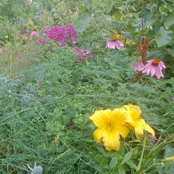 IMG_20250722_115310a489a2f9616f8bc7