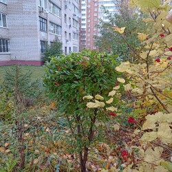 IMG_20251021_120805b6385f273d95f176