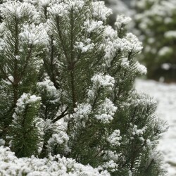 IMG_0985071e1b9acc69187b