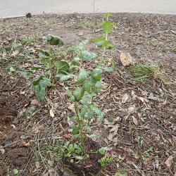 IMG_20251207_125223eac3daaed8853e87