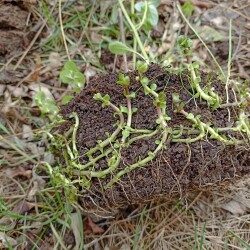 IMG_20251207_125236b850e12e056ea72a