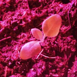 no-name-26-12a5b1b599b64f80d2