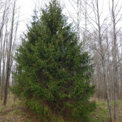 DSCN19717e96c16588253290