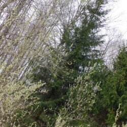 DSCN19740060a096da6b45ea