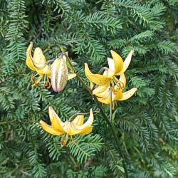 IMG_20260104_1910276c7b6dca3d3a924c