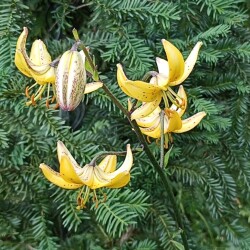 IMG_20260104_191113e7d455b6221e4d15