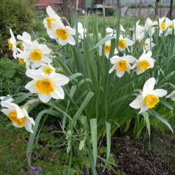 IMGP2807c18bb24726c993e9