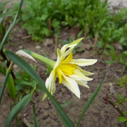 P11003694aadbeafdc3e480f