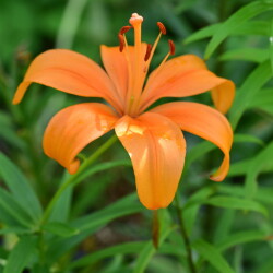 i-53f13efa3e73e511c9