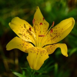 apoRJpv_7jzXcJjHMjIvvmwkHg_r-yf1AB4N-eWmyqdHTklhaJgB5RC78AN8hcaLJu_-TN2ptSjbhrBKadaRtrIg3890fcb64bee1015d