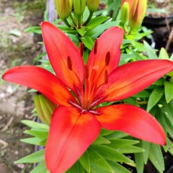 qx_OITUEQiMWtX2P2AXn_jTpcl8aO-5fHULrlornMYqikNW8WQbB7G0dMkm3tVKKXFKuc-3bgOeM_SV5gjFRjPgyf70ee0823ad89024