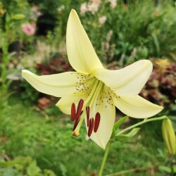 CG0R9PeidBiZOtTHddHr8U9gotGMNnhlMkD6Ju1K7H2EwLKl5ZgHKEdCGAnS7uZnb12NVcPoSvkFRFPWRi6H5_cb1b77160bb1123942