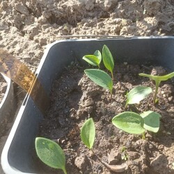 IMG_20250424_1514457728e6dd1c8624c2