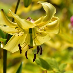 PzlswQfi78dMavwePQ6l0yZ5l8isJAYP2OIa1uZ95GjEzBlCBQcQC7PSgexlXjosJQk8Wzya87pdU2GtGcD_2dXf-12c431a0fb6ea6d34