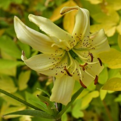 eeE-oQZAI5sU9XpiTAcOS40H4ZjzGfNS9oMJb3dUljFwyaGL34erJcNC7vN7md7US_3QwNfcshx749qVaBMkWky4f97208fb428ae5a