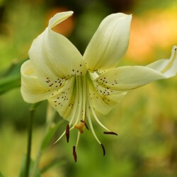 h0eTNqJp8uQNZNClOJwSRe2ETZkGcNhYeYpJRzo0GbzL19tL0uVqXDOhai5e3Ar_eEW9d267ICie59-SF7mfzySR2a0edf8ee0a2fe682