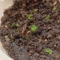 IMG_20250620_15020046980db79e1886be