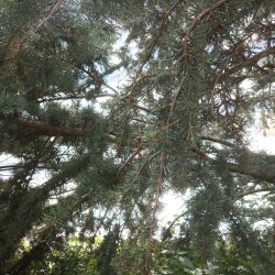 IMG_20250728_115245c96b835c46088c7f