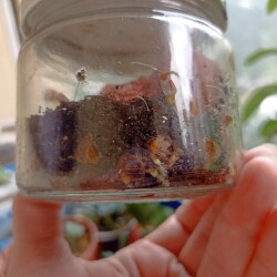 IMG_20250801_0933150364bef743222c1e