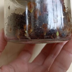 IMG_20250801_09341944e12834772b1e13