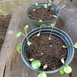 IMG_20250816_165858daf3882a81a90638