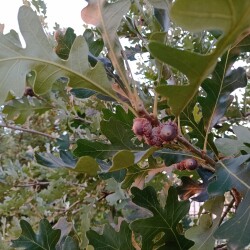 IMG_20250827_192252b91b77a375d4c75b