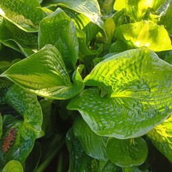 IMG_20250901_084931377fd142ada0e0a0