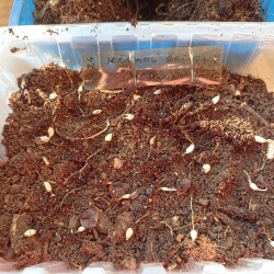 IMG_20250909_173232556542a97f30f867