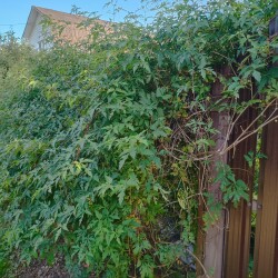 IMG_20250914_1602410571fc045a8fd67f