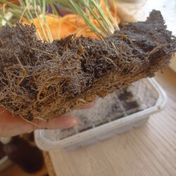 IMG_20250922_09504098c0aa595518c270