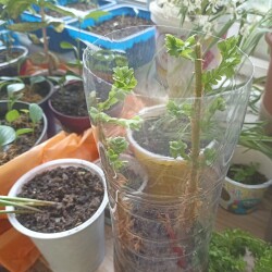 SITIYNIMG_20250610_1552226afcb2b63dc1e1d9