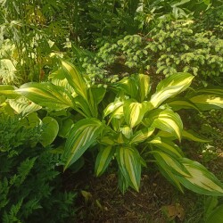 IMG_20250607_09192056a49caf601ff209