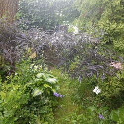 IMG_20250618_08121646852d3f8e5202aa