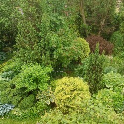 IMG_20250618_11463813130a084ce0f69a