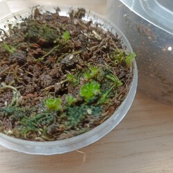 IMG_20250620_145208911ce057ee2b47dd