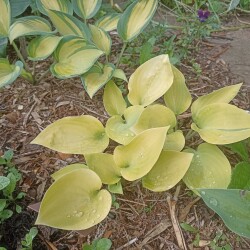 IMG_20250622_182627c957224c4b8b3b2a