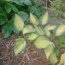 IMG_20250622_182630bbea1dd937880dc9