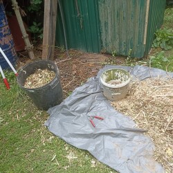 IMG_20250629_145949e769782615640ef1