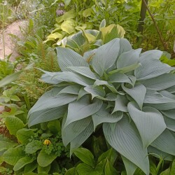 IMG_20250531_084246b333745e6f7137f8