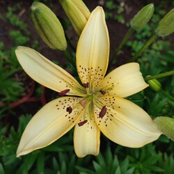 CvJavrn5cdNUK1RneOANz9_Z-gLjjecNf8cCvE2qGnaCCxgsRZgUUlxA4mBXGPZfF4SbKD5V_kXkoz1dbv8DrTzo686f7b20447f20e8