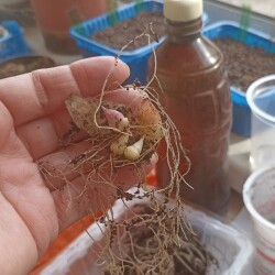 IMG_20250417_092611ce91757d33f8e93e