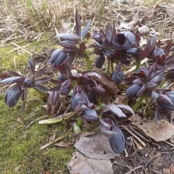 IMG_20250419_0918596151b9bf13569478