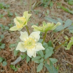 IMG_20250422_09351587cb9cc9b260d6aa