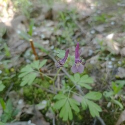 IMG_20250428_130856ab31f96fd94f7b0c