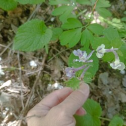 IMG_20250428_1311281d7e4364f8d1e3aa