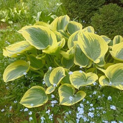 IMG_20250531_115845002d60c55cd2a151