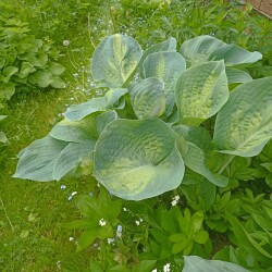 IMG_20250531_122411f1c2349ffeb15ad2