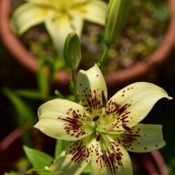 tdoIAzDGfidyqYmpDKWxWTVibGCwnEtIHGhRazOd3KEV4P9gg_1MfErr1WNWb7SA53b7Fq2H9_q4cwNmrgz-QPJ6217c787271237295f