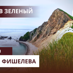 Igor_Fishelev_zelenyi_11236a21fff1dc714