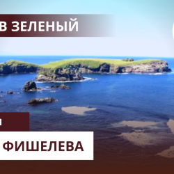 Igor_Fishelev_zelenyi_2378f39d799112fd7